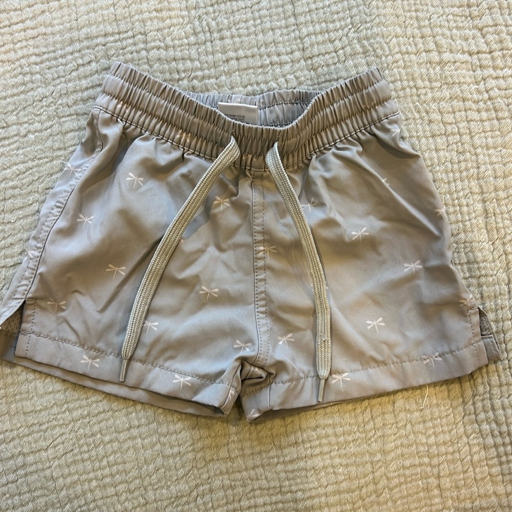 Jamie Kay dragonfly swim trunks